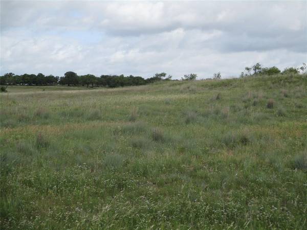13 AC Elenburg Rd, Perrin, TX 76486