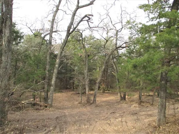 Tr 4 Catholic Cemetery, Montague, TX 76251
