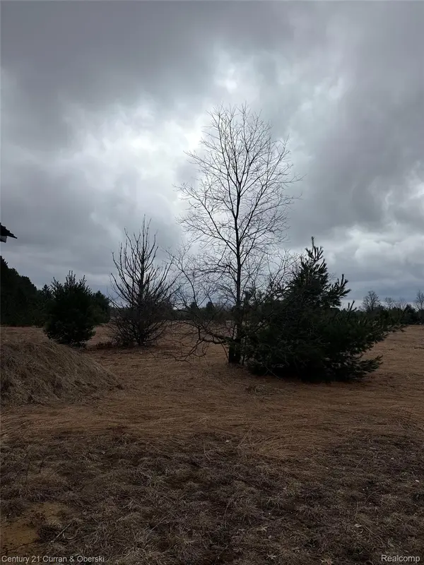 00000 Vroom Rd SW, Boardman Township, MI 49680