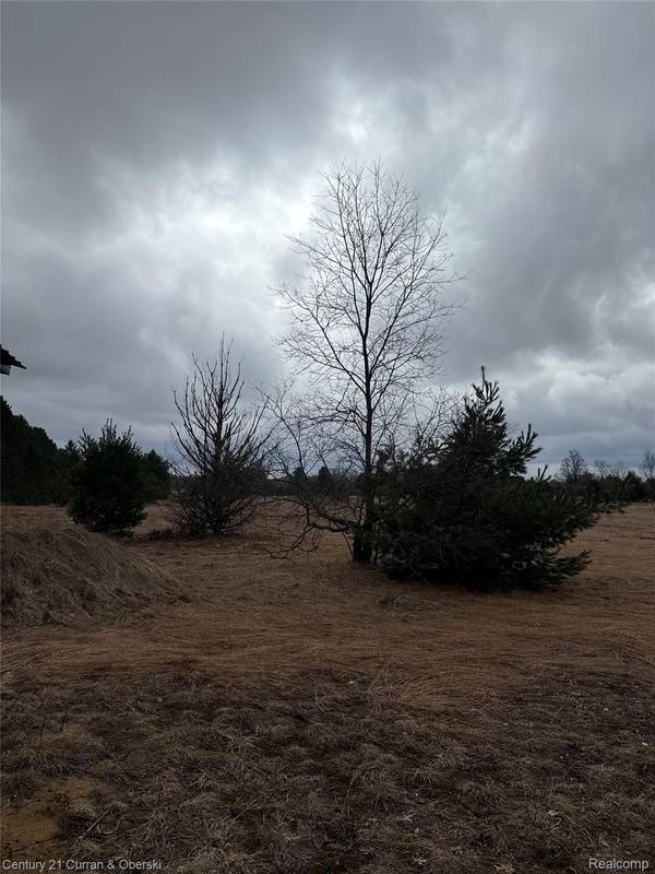 00000 Vroom Rd SW, Boardman Township, MI 49680