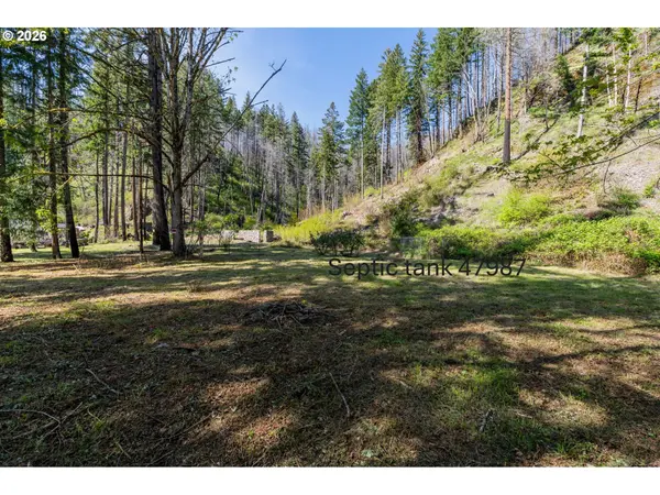 47987 MCKENZIE HWY, Vida, OR 97488