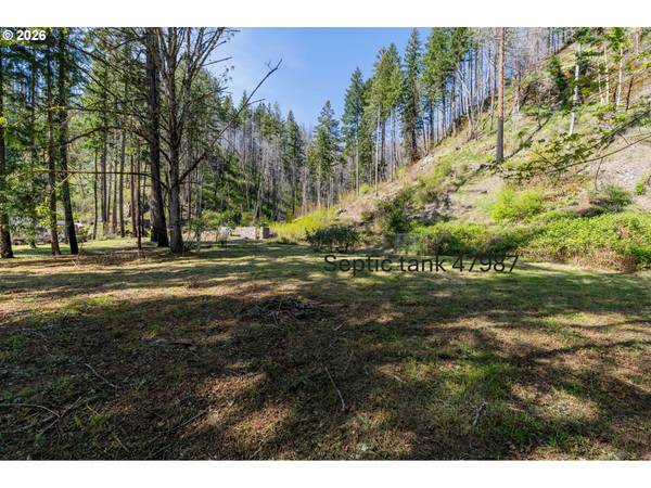 47987 MCKENZIE HWY, Vida, OR 97488