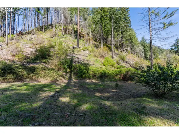 47987 MCKENZIE HWY, Vida, OR 97488