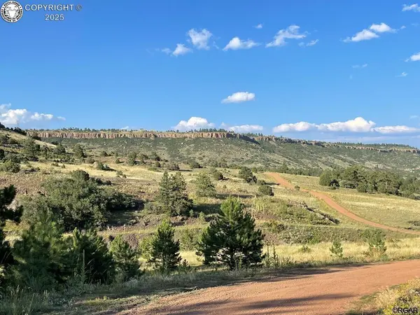 TBD Tallahassee TRL, Canon City, CO 81212