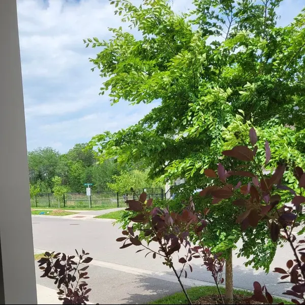 2142 Saffron DR, Pickering, ON L1X 0E2