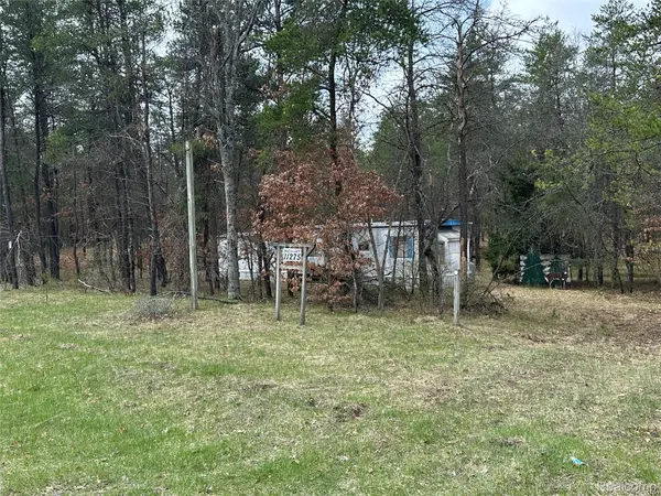 11275 S Broadway, Yates Township, MI 49309