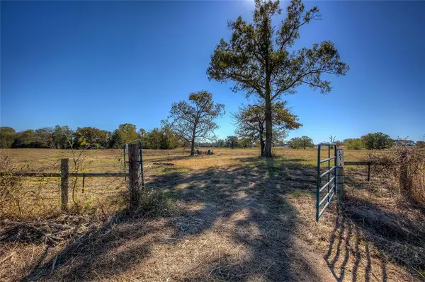 TBD County Road 1468, Quitman, TX 75783