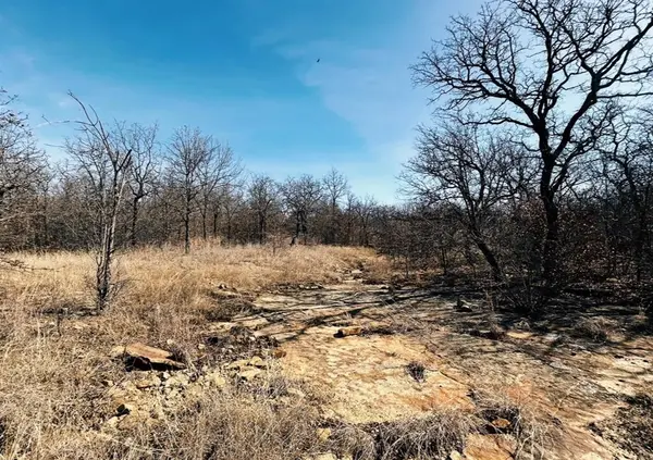 0000 Sunset Bay Pointe Court, Chico, TX 76431