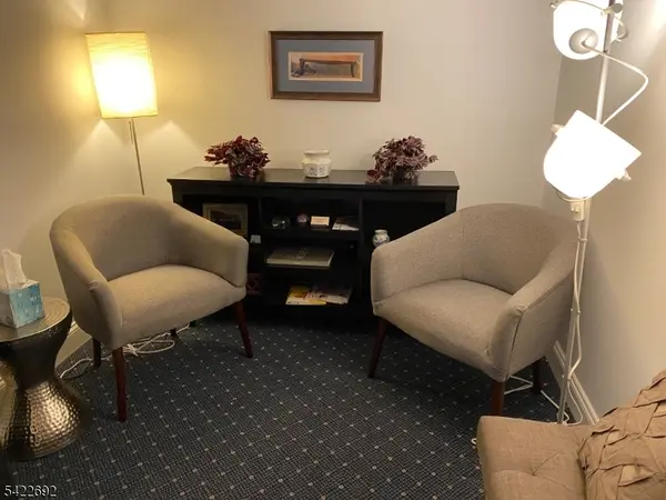 10 Fairmount Ave, Chatham Boro, NJ 07928