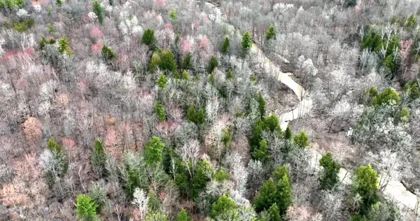 Rynn RD, Clyde Twp, MI 48049