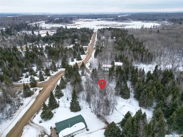 113 Poplar CRESCENT, Paddockwood Rm No. 520, SK S0J 0N0