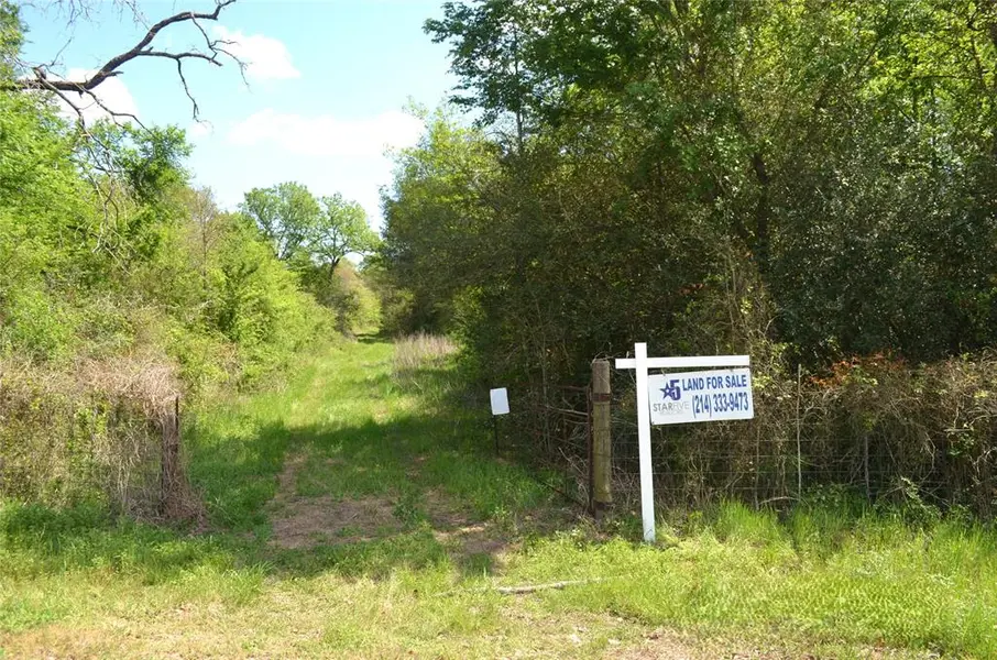 977 E, Leona, TX 75850