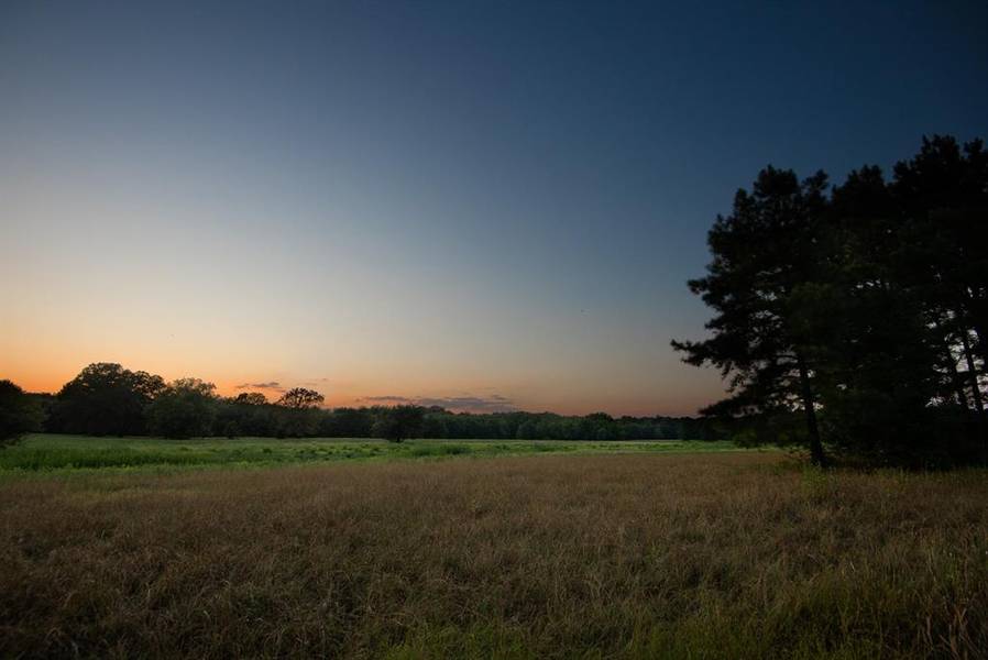 821 Gorman Oaks, Big Sandy, TX 75755