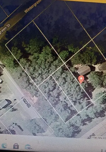 00 Wintergreen ST, Baldwin Twp, MI 48730