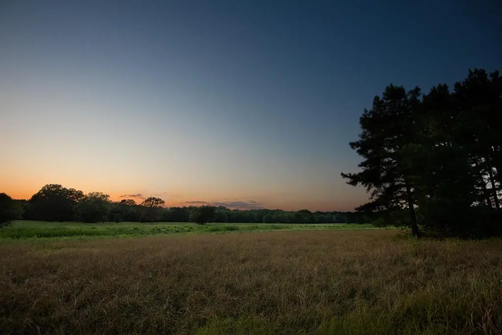 821 Gorman Oaks, Big Sandy, TX 75755