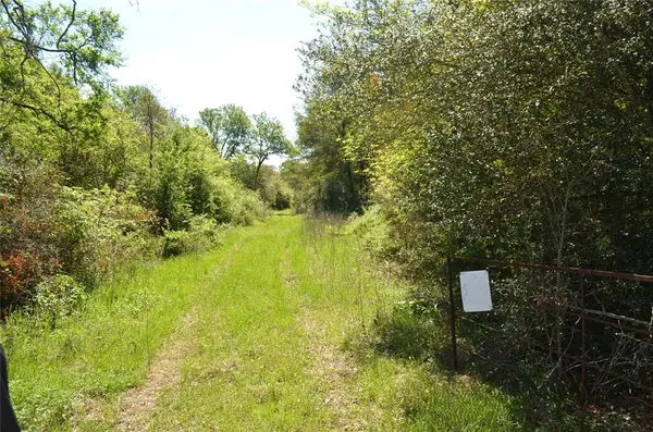 977 E, Leona, TX 75850