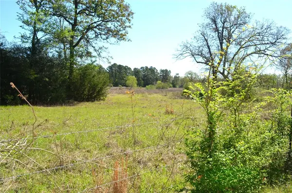 977 E, Leona, TX 75850