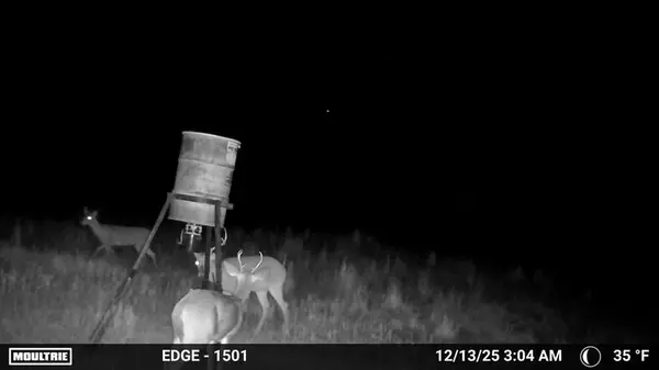 7215 Highway 569, Cisco, TX 76437