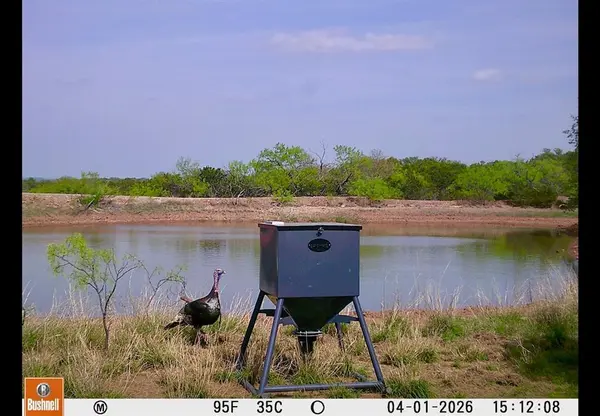 TBD C.R. 132, Coleman, TX 76834