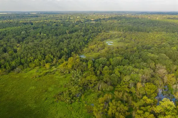 821 Gorman Oaks, Big Sandy, TX 75755