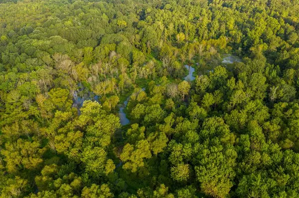 821 Gorman Oaks, Big Sandy, TX 75755