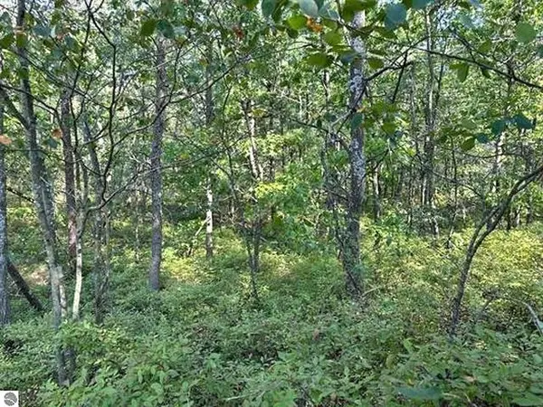 00 Wintergreen ST, Baldwin Twp, MI 48730