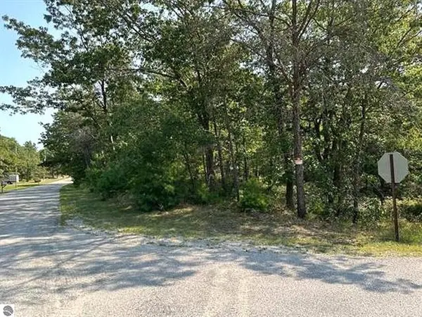 00 Wintergreen ST, Baldwin Twp, MI 48730