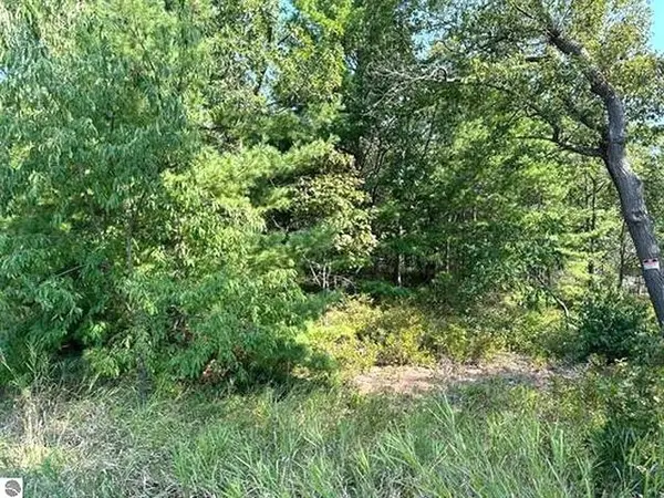 00 Wintergreen ST, Baldwin Twp, MI 48730