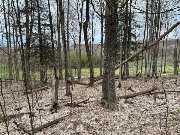 Unit 19 Forest TRL, Custer Twp, MI 49615