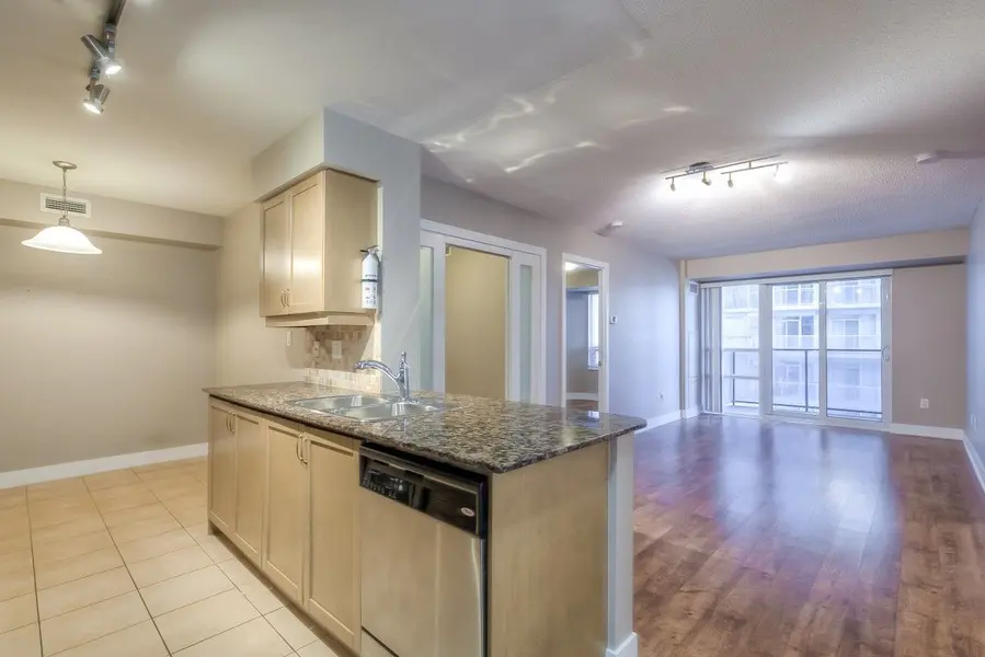 20 Blue Jays WAY #1702, Toronto C01, ON M5V 3W6