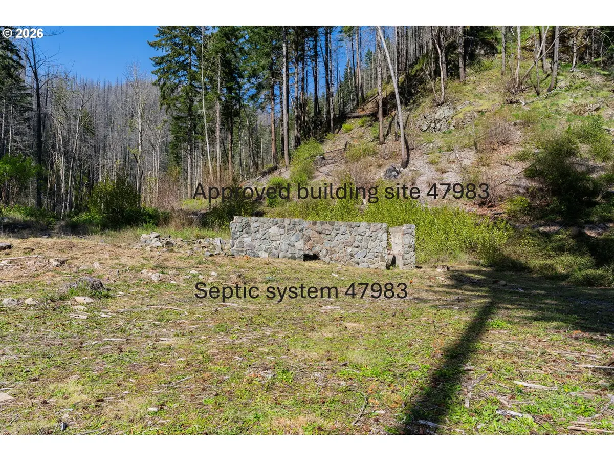 47983 MCKENZIE HWY, Vida, OR 97488