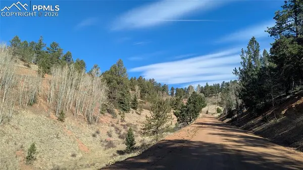 136 Valley RD, Divide, CO 80814