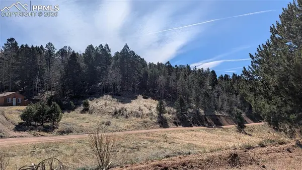 136 Valley RD, Divide, CO 80814