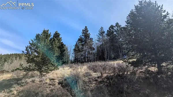 136 Valley RD, Divide, CO 80814