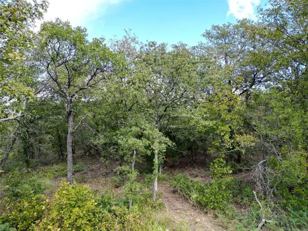 TBD Lot 7 Muy Grande Road, Nocona, TX 76255