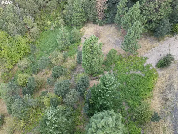 141 HWY, White Salmon, WA 98672