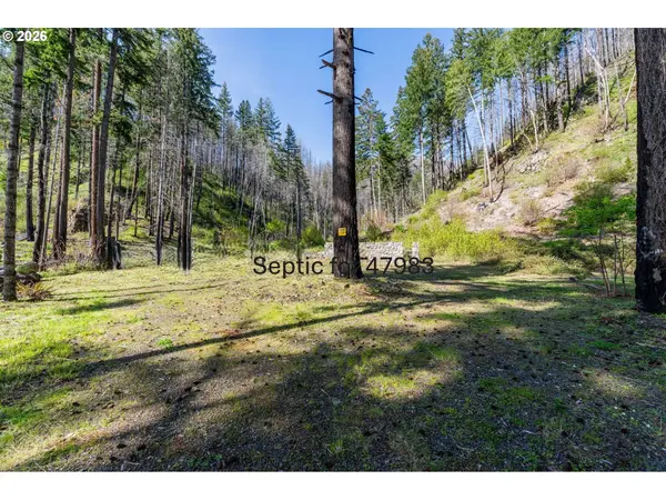 47983 MCKENZIE HWY, Vida, OR 97488