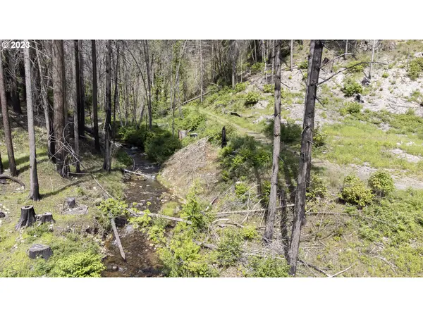 47983 MCKENZIE HWY, Vida, OR 97488