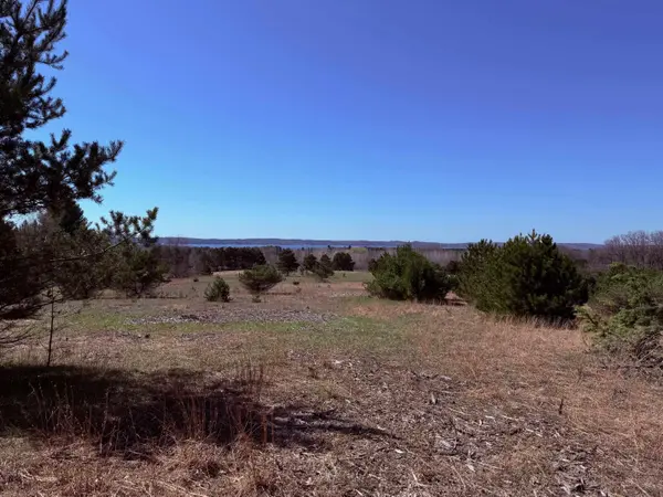 Helena RD, Helena Twp, MI 49612