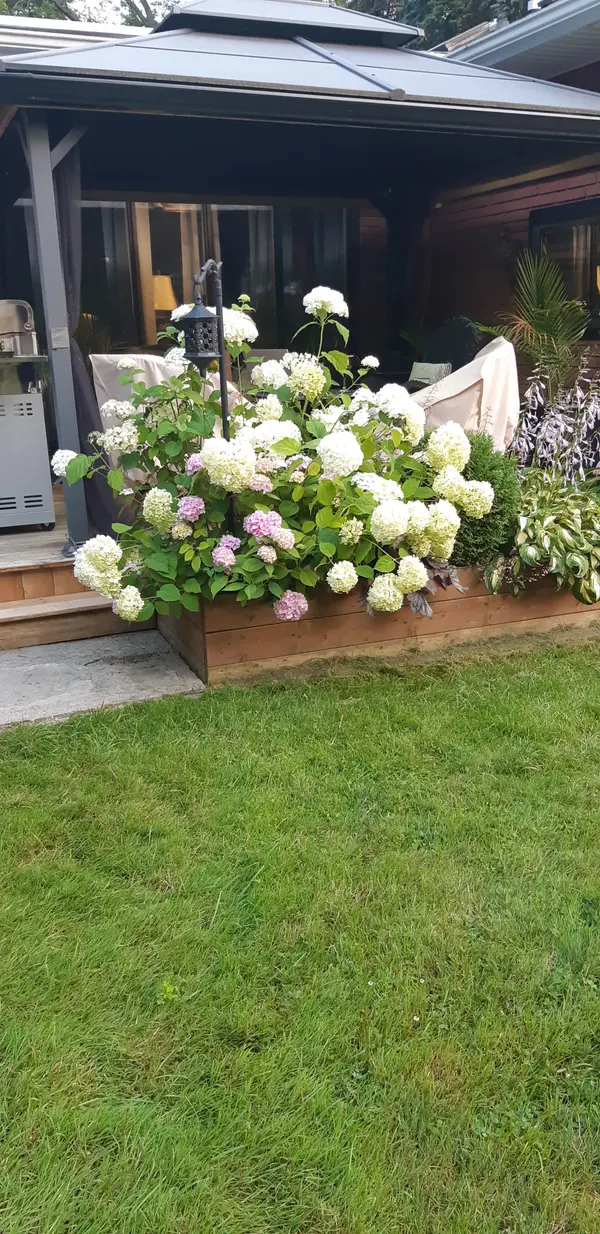 1184 Kingston Rd RD N, Pickering, ON L1V 1B4