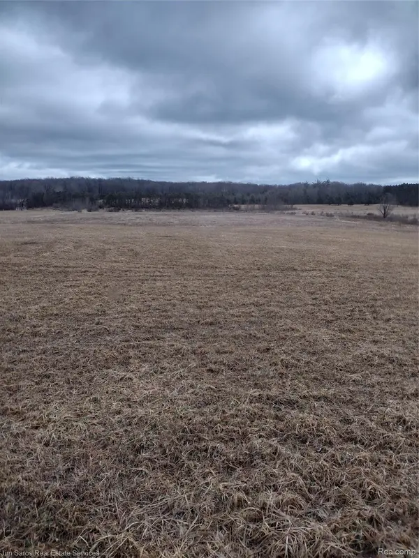 4771 E County Line RD, Curtis Township, MI 48761