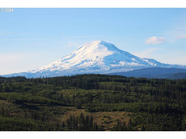 BZ Glenwood HWY #2, White Salmon, WA 98672