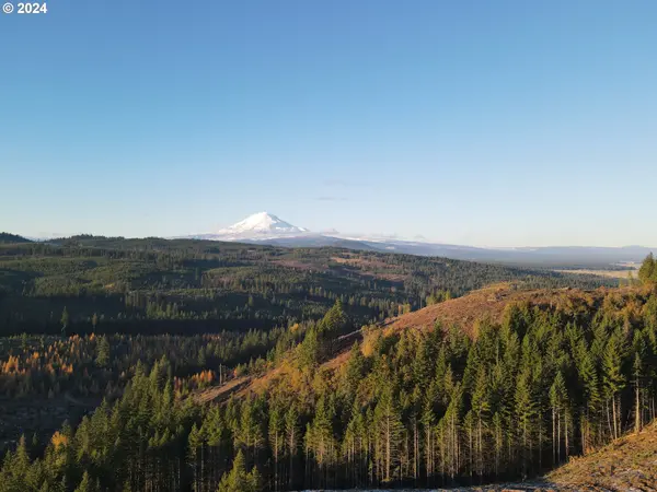 BZ Glenwood HWY #2, White Salmon, WA 98672