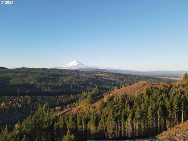 BZ Glenwood HWY #2, White Salmon, WA 98672