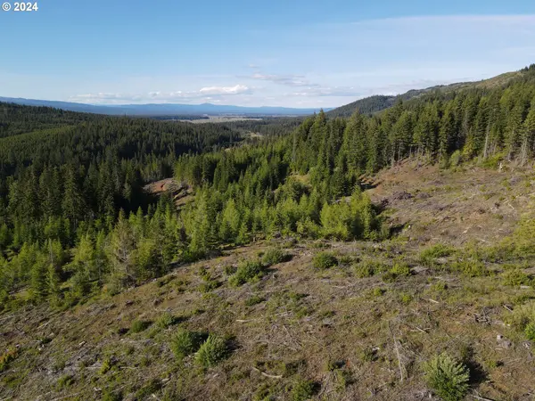 BZ Glenwood HWY #2, White Salmon, WA 98672