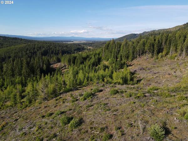 BZ Glenwood HWY #2, White Salmon, WA 98672