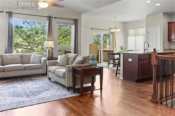 17529 Old Cherokee TRL, Colorado Springs, CO 80921