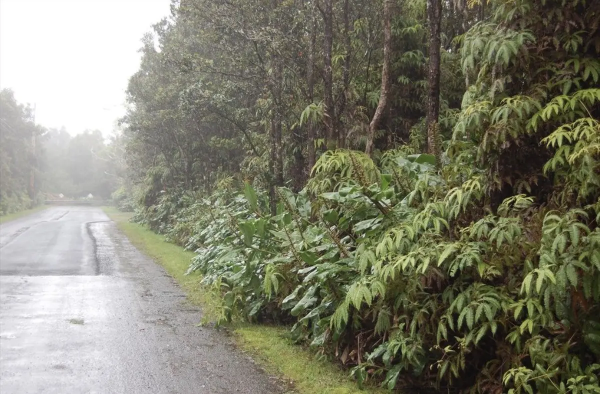 4TH ST, Volcano, HI 96785