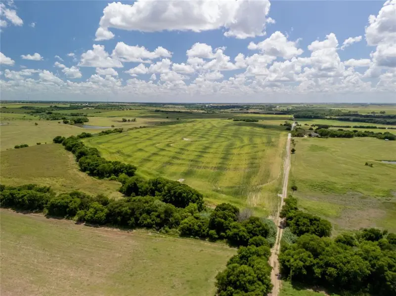 12.54 Acres | Tract 4 County Rd 3307, Hubbard, TX 76648