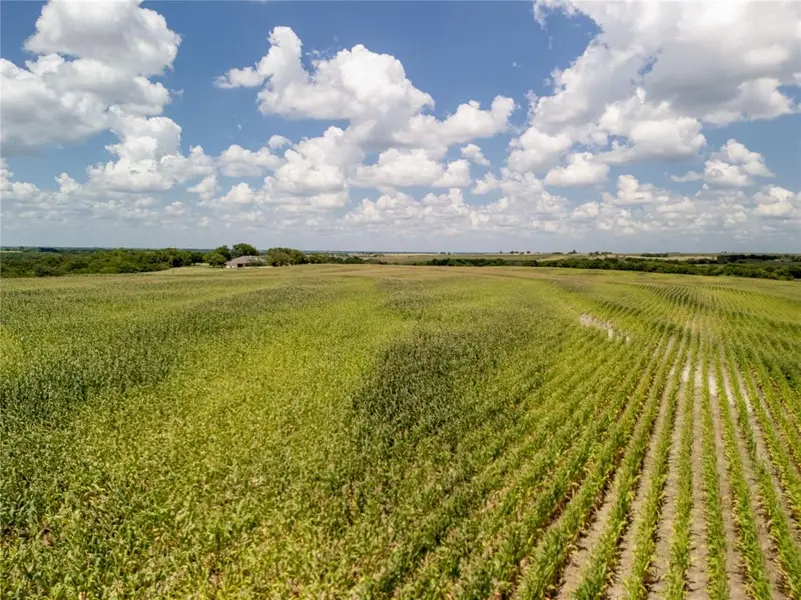 12.54 Acres | Tract 3 County Rd 3307, Hubbard, TX 76648